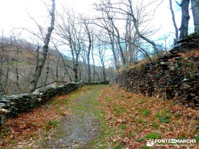 Sierra Alto Rey - Peña Mediodía; mochilas senderismo; turismo activo madrid;senderismo puente mayo